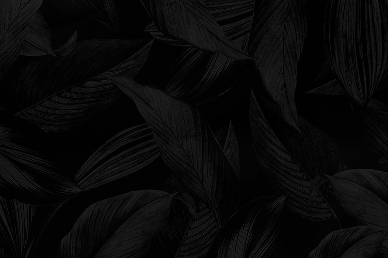 Black Background Images  Free iPhone & Zoom HD Wallpapers & Vectors -  rawpixel